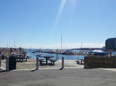 뉴잉글랜드 아쿠아리움 후기 썸네일